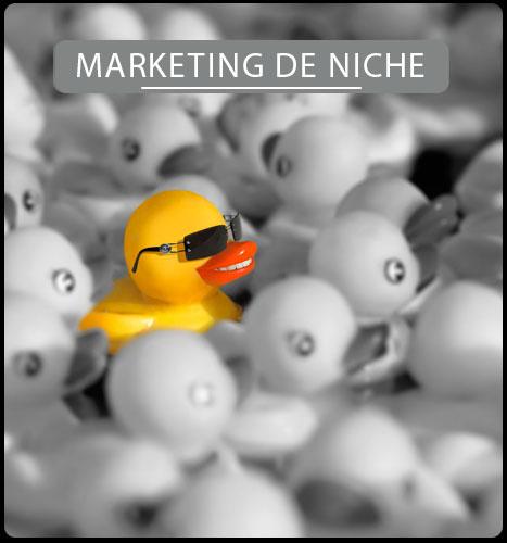 Services de Marketing de Niche