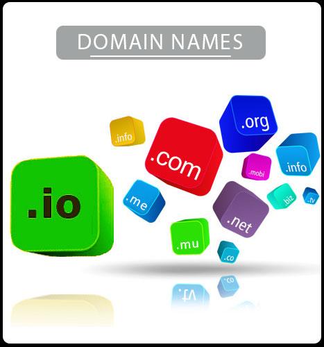 Domain Name registration
